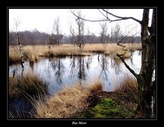 Das pinneberger Himmelmoor