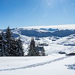 Das Plateau Kitzbühler Horn....