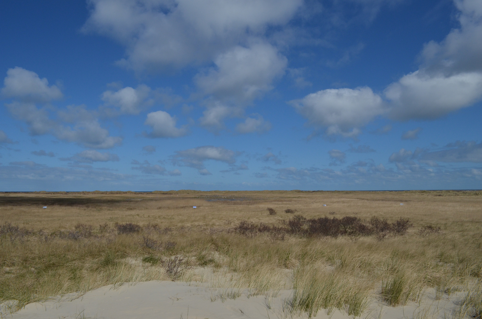 Das platte Land diese Weite... Foto & Bild landschaft, Äcker