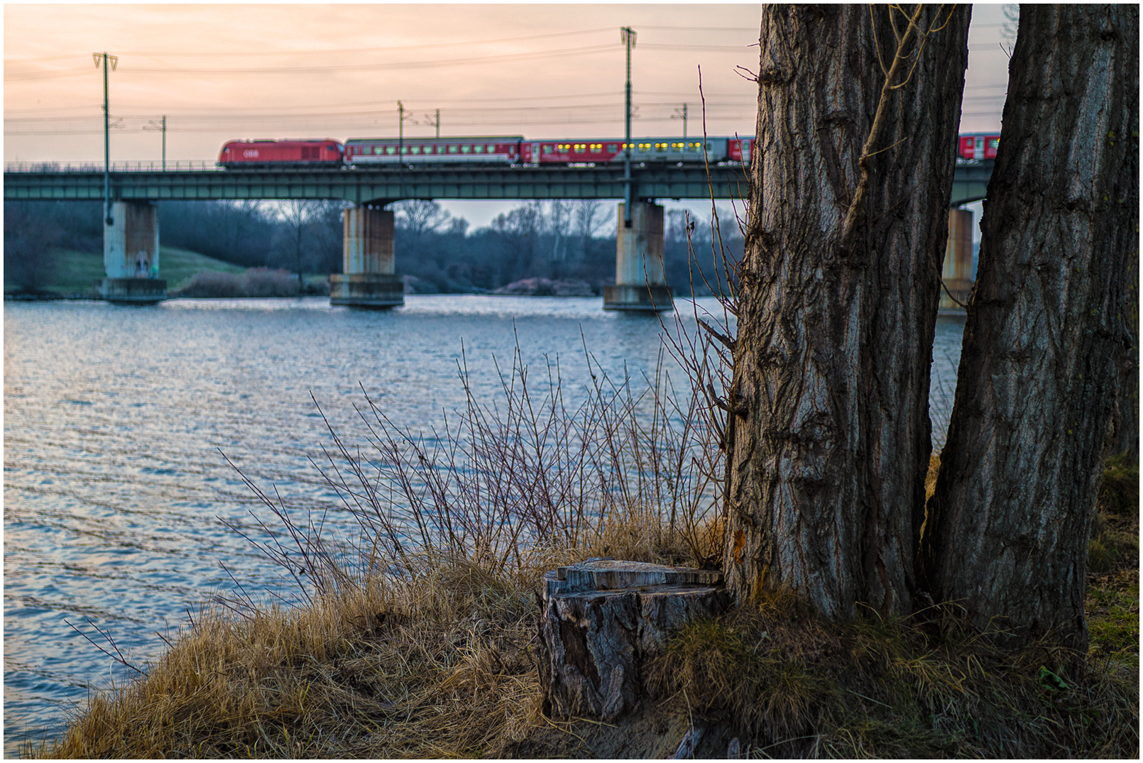 Das Platzerl in der Lobau