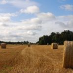 Das Pöppelsfoto (Strohrundballen) oder wie werden die genannt?