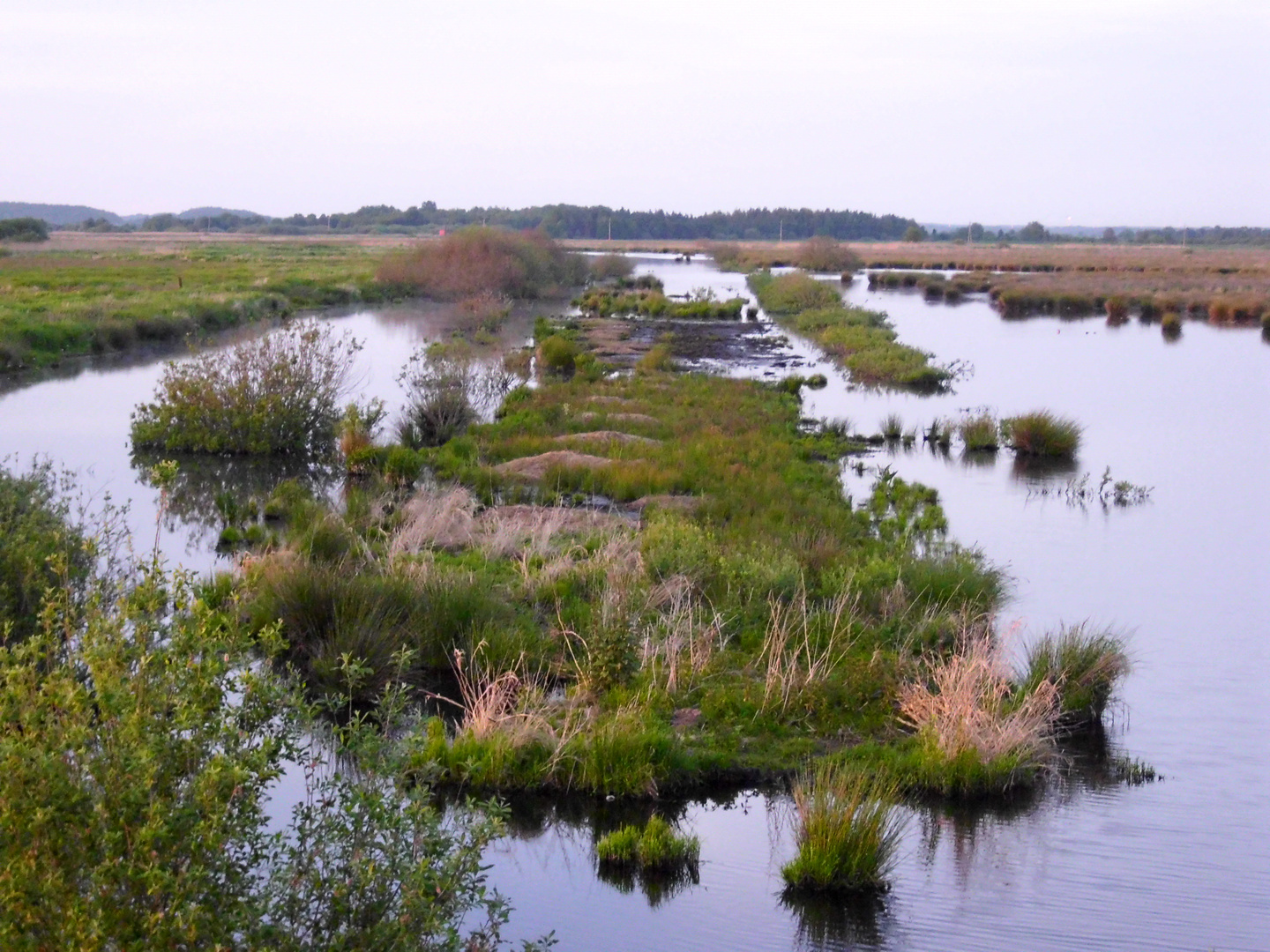 das Polder Glies