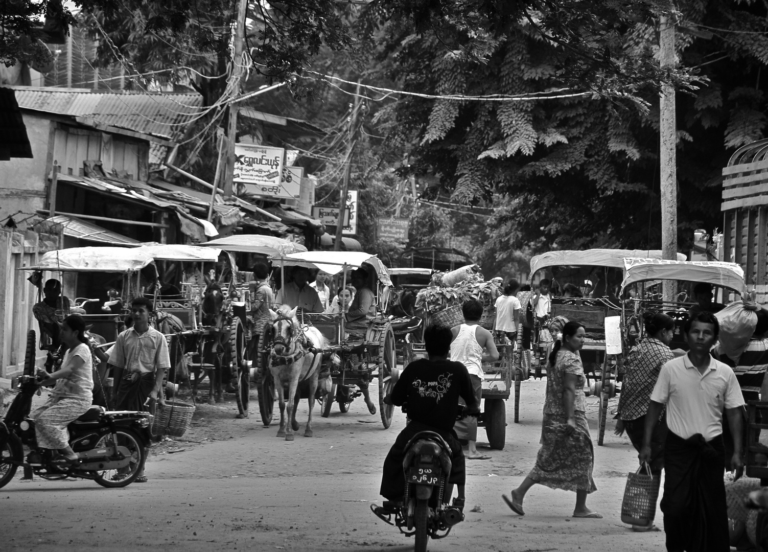 das pure leben, burma 2011