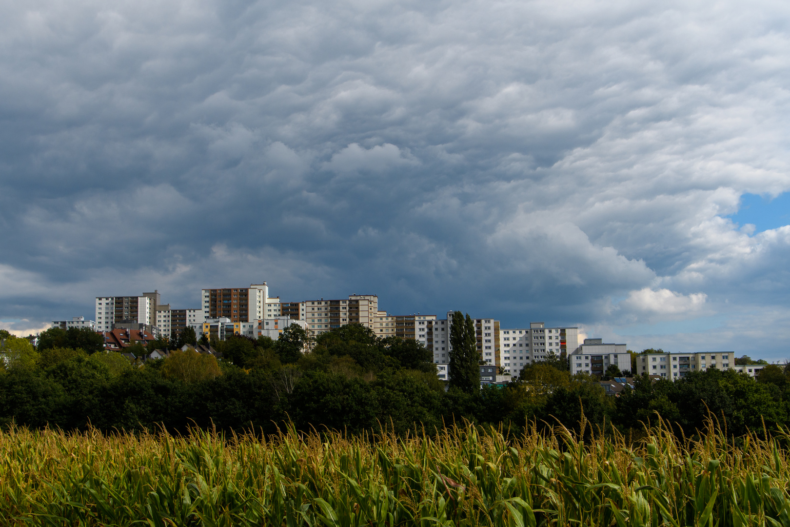 Das Quartier Eckbusch