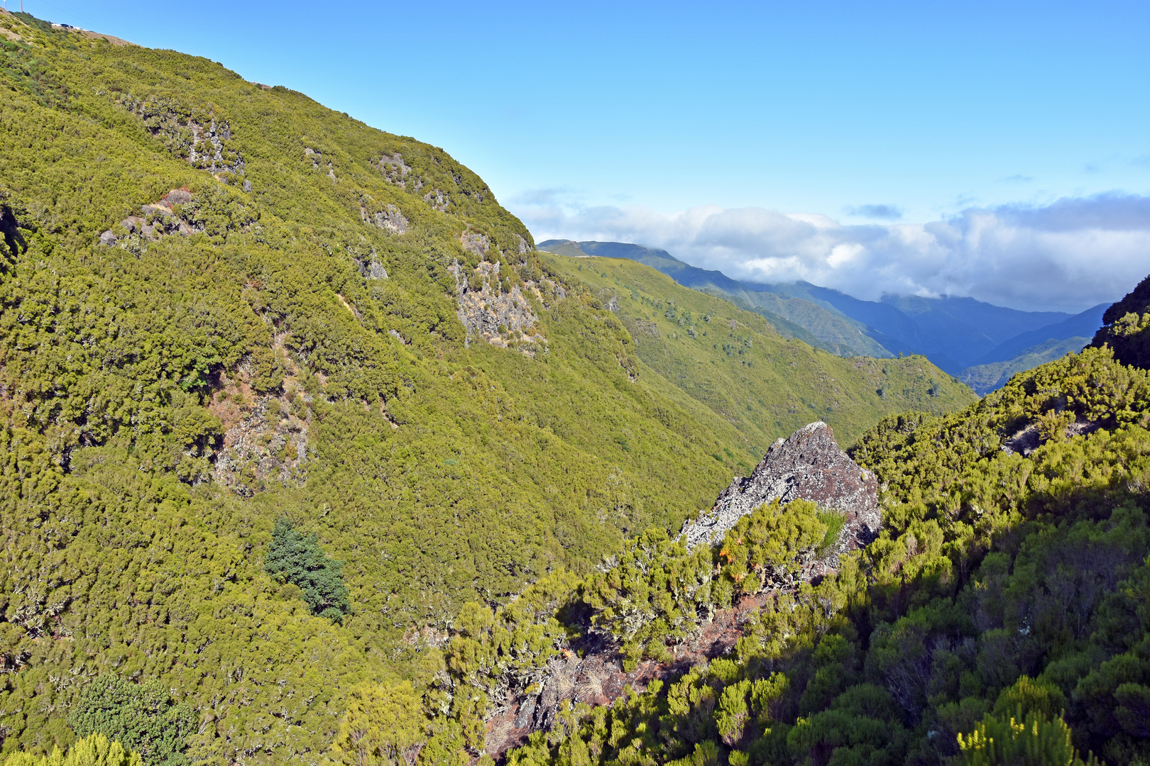 Das Rabacal-Tal im Nordwesten von Madeira