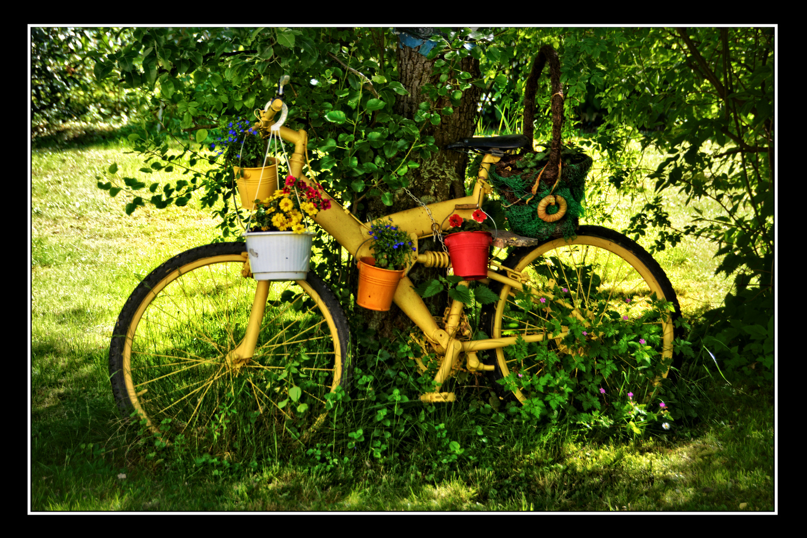 Das Rad vom Blumenampelmann ...