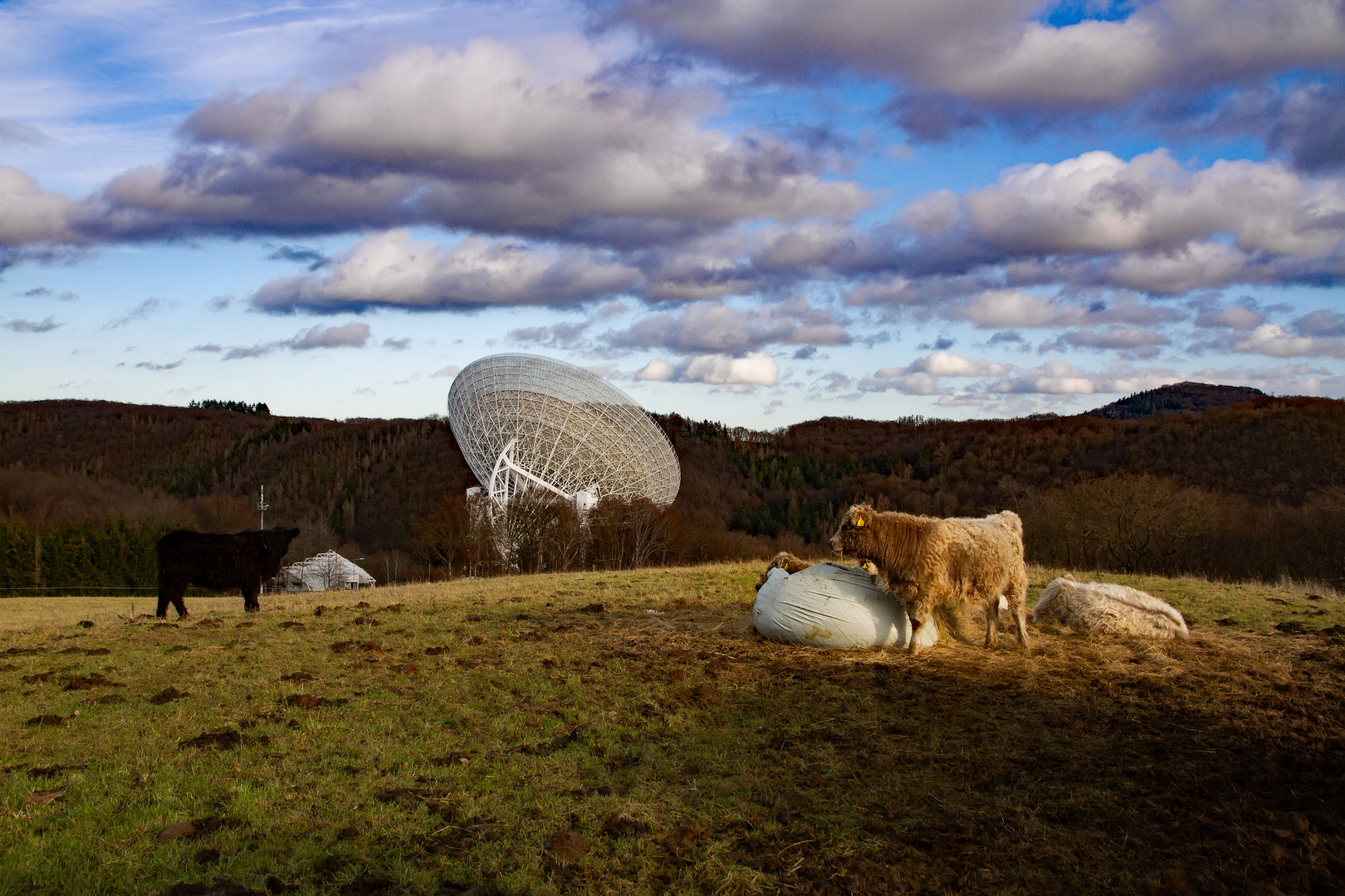 Das Radioteleskop