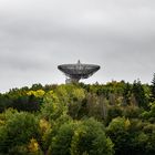 Das Radioteleskop Effelsberg