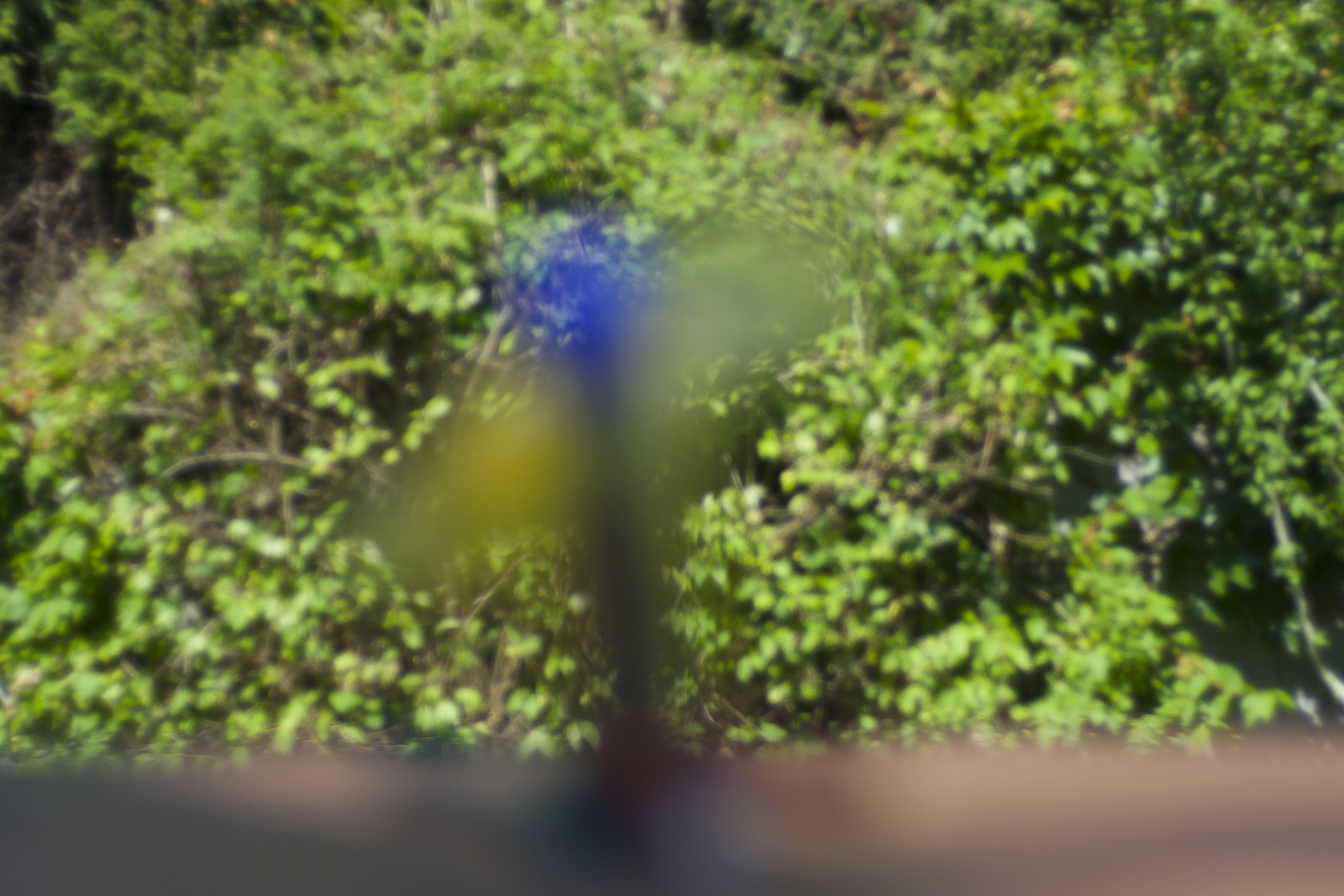 Das Ratsel Im Garten Auf Dem Tisch Foto Bild Quatsch