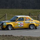 Das Rallyeauto schlechthin.....