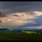 Das Rapsfeld im Sonnenschein