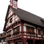 das Rathaus