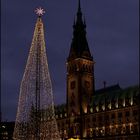 Das Rathaus im Glanz des Weihnachtsmarktes (1)