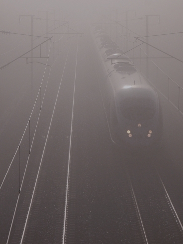 Das Rauschen im Nebel - Referenzbild