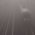 Das Rauschen im Nebel - Referenzbild