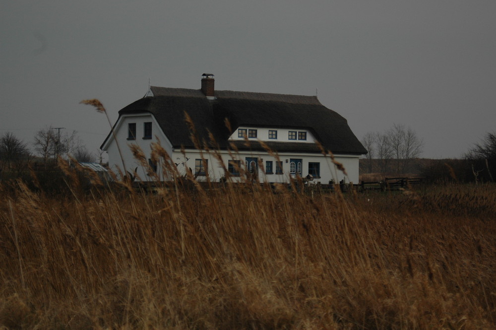 Das Reetdach-Haus