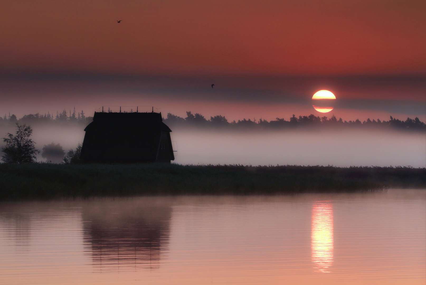 ~ Das Reethaus am Bodden II ~