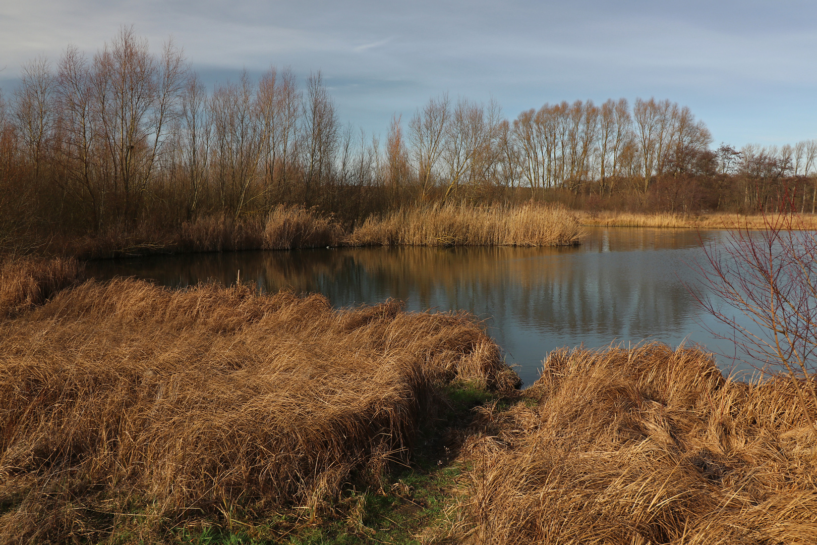 Das Regenbecken bei Lamme