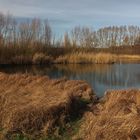 Das Regenbecken bei Lamme