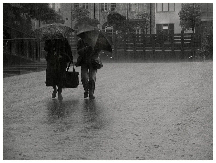 Das Regenrennen