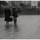Das Regenrennen