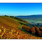 Das Renchtal bei Oberkirch