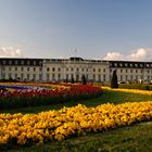 Das Residenzschloss in Ludwigsburg von der Südseite aus dem Blühenden Barock aufgenommen