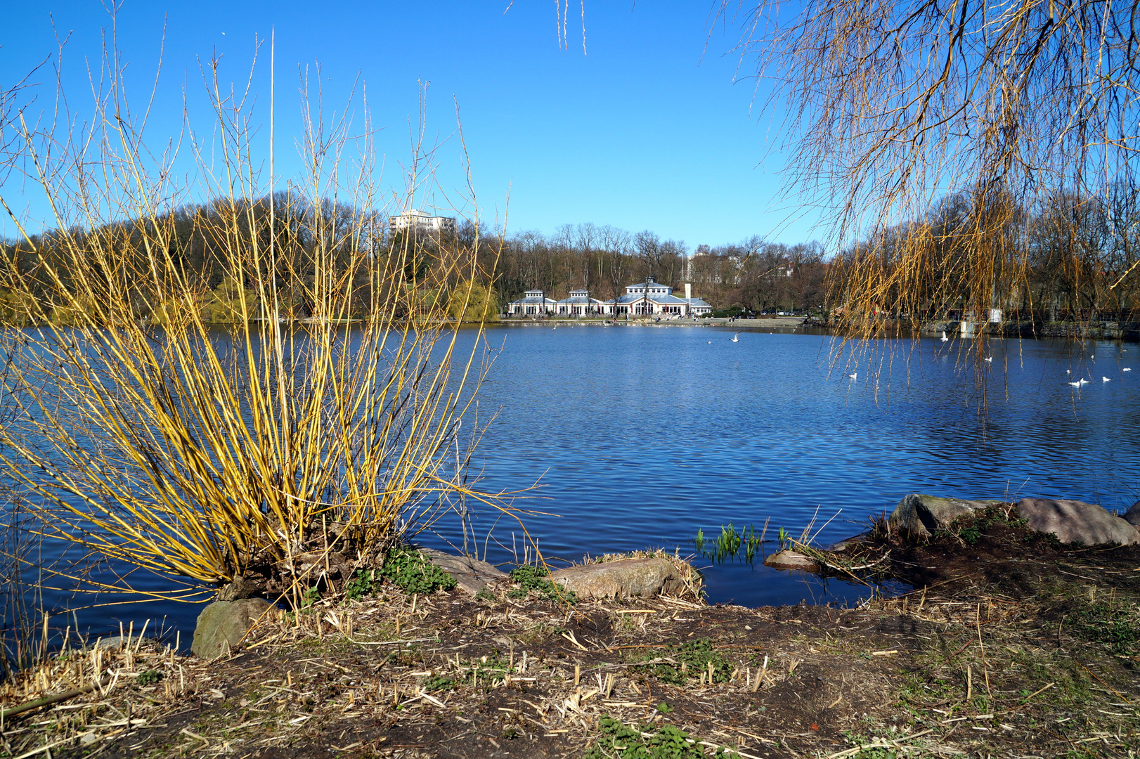 Das Restaurant bei uns am Stadtparksee