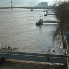 Das Rheinhochwasser von 2010 in Köln ...