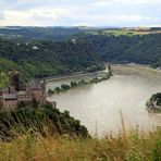Das Rheintal