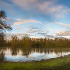 Das Rheinvorland im Orsoyer Rheinbogen...