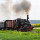 Das Rhönzügle hat Auslauf