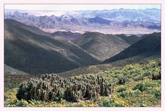 Das Richtersveld