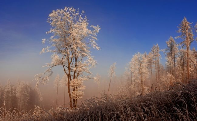 Das richtige Licht - endlich....
