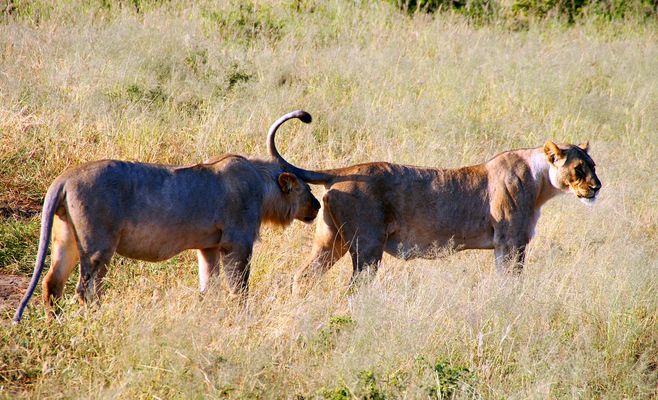 Das riecht aber gut.