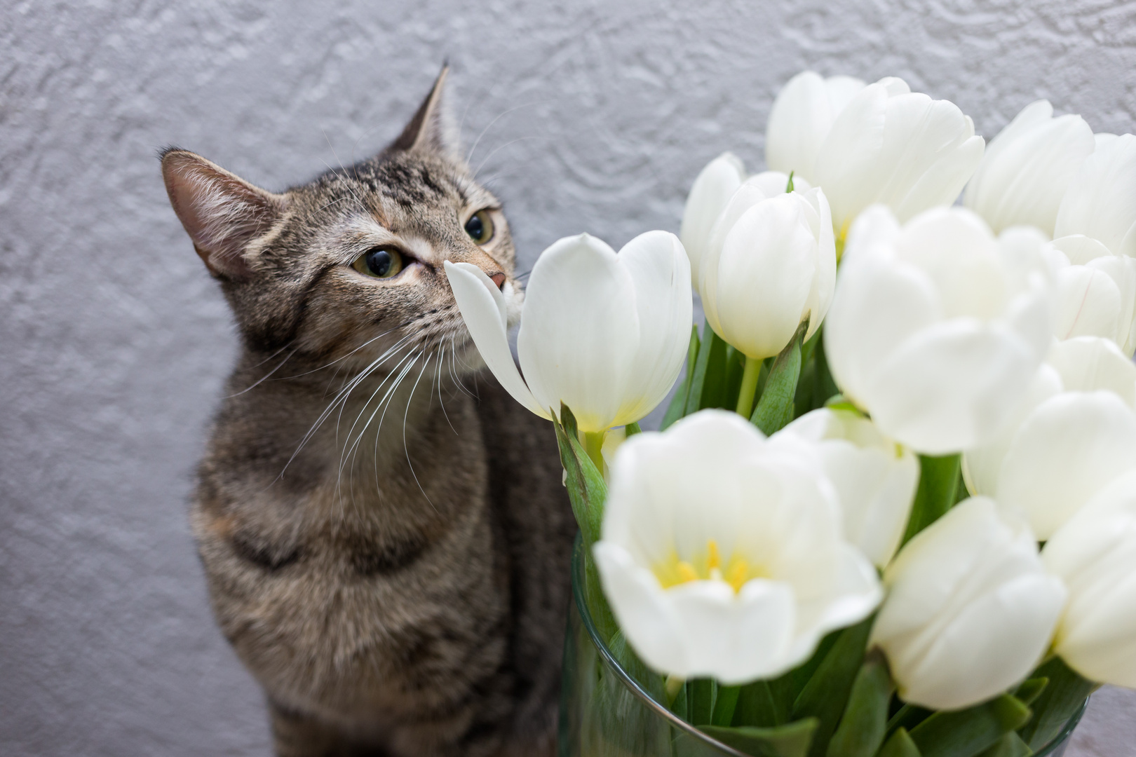 Das riecht nach Frühling!