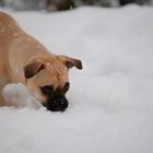 Das riecht nach Schnee