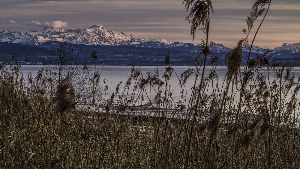 Das Ried und die Berge