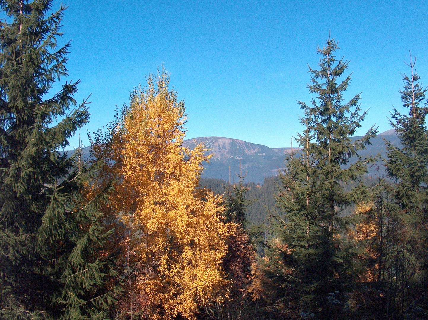 Das Riesengebirge