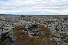 Das riesige Lavafeld Eldhraun in Südostisland