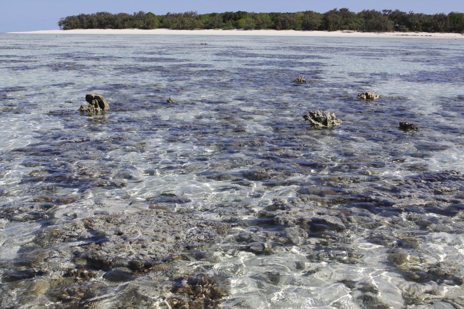 das riff am nordstrand