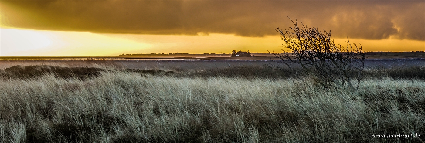 Das Ringen in der Dämmerung