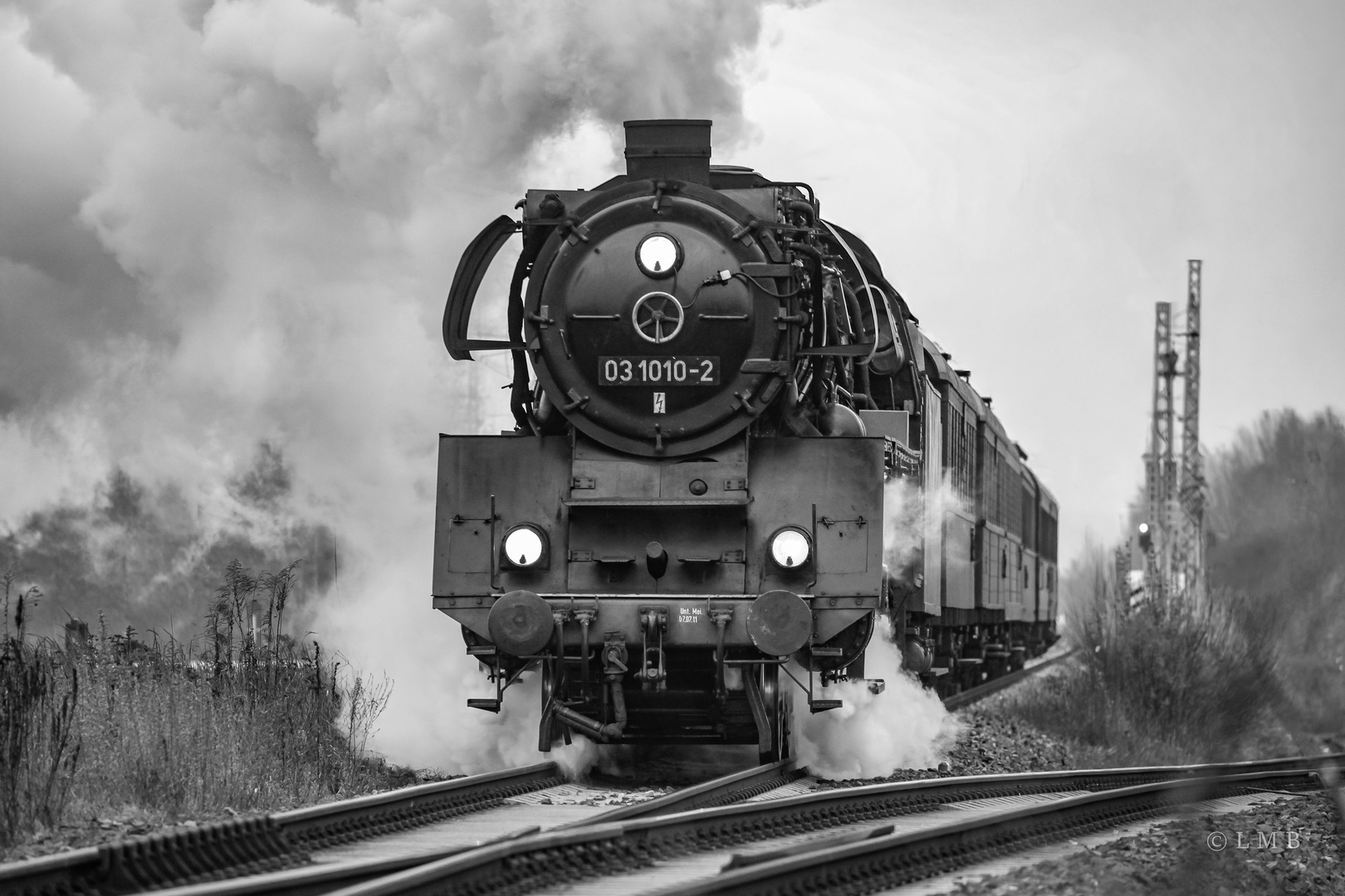 Das röhrende Monster SW