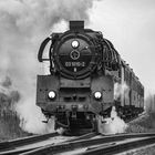 Das röhrende Monster SW