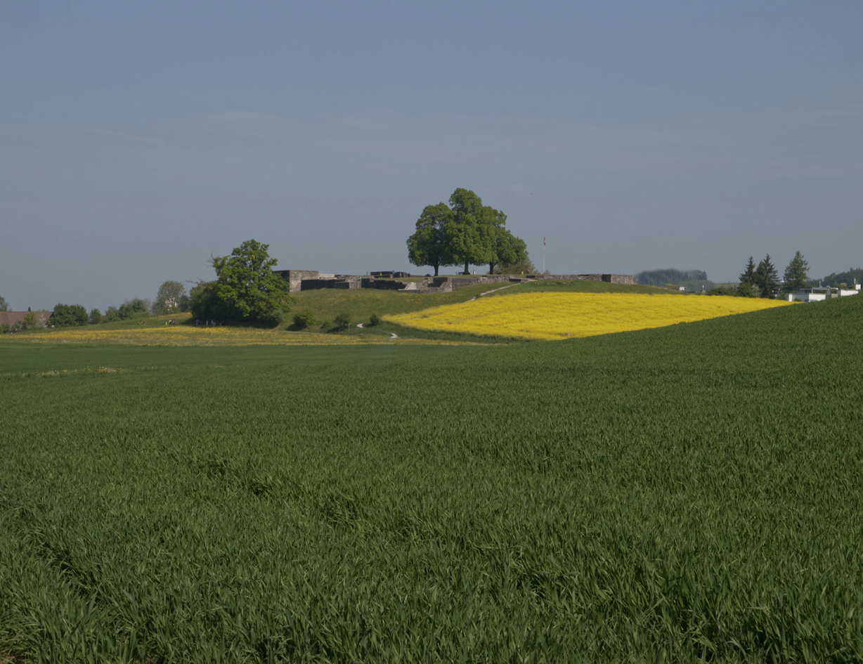 Das Römer-Castell Pfäffikon ZH