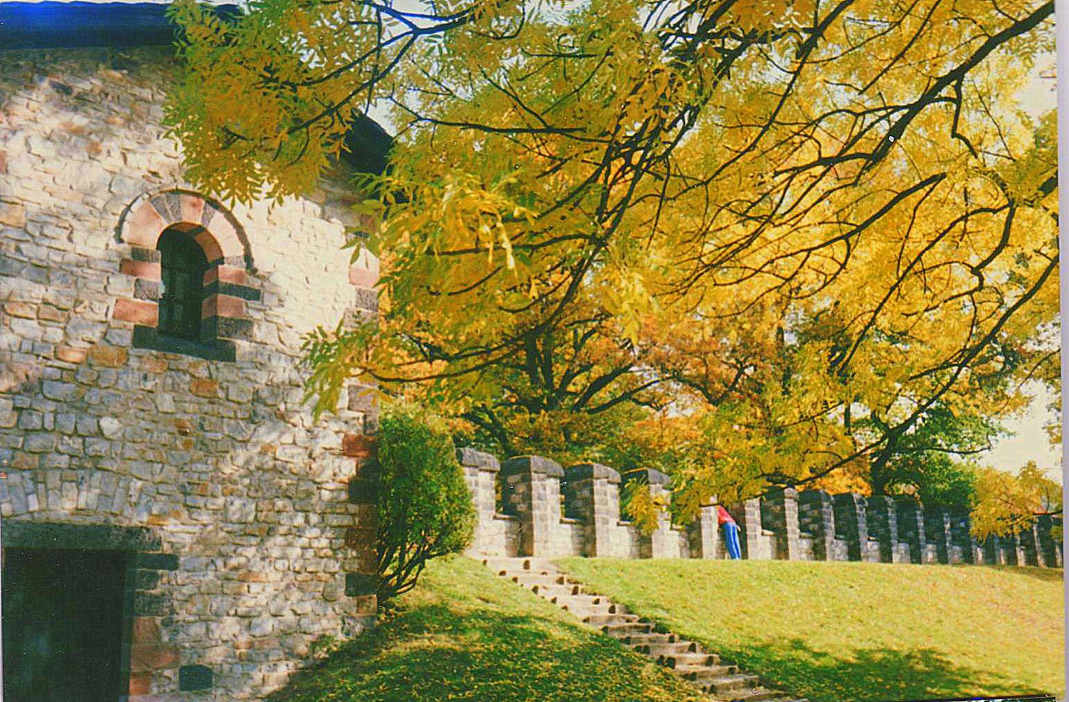 Das Römerkastell SAALBURG .