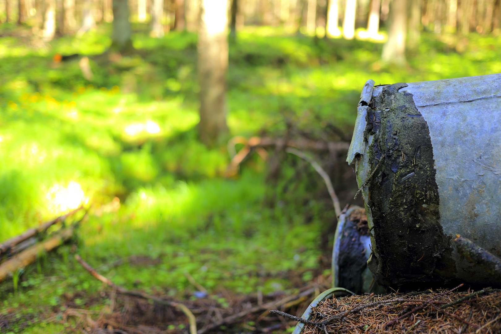 Das Rohr im Wald