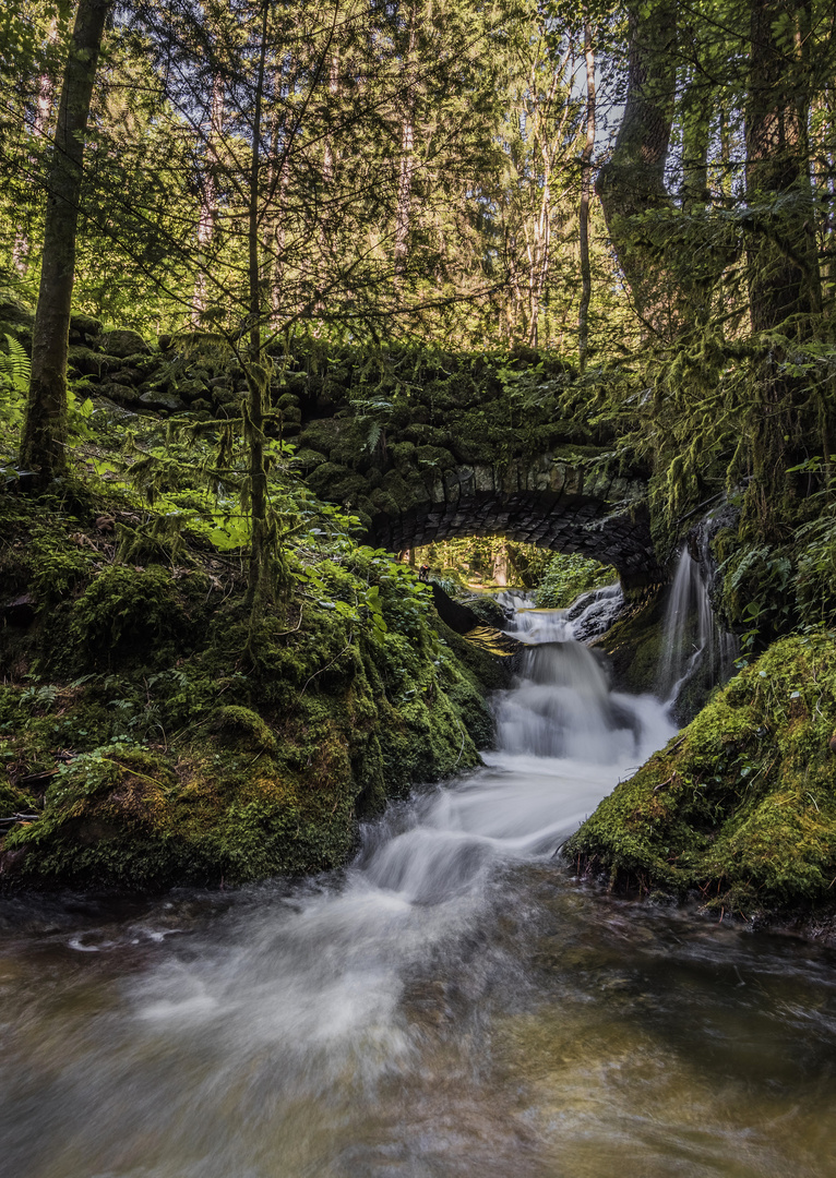 Das romantische Brückchen im Schwarzwald