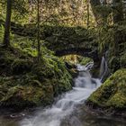 Das romantische Brückchen im Schwarzwald