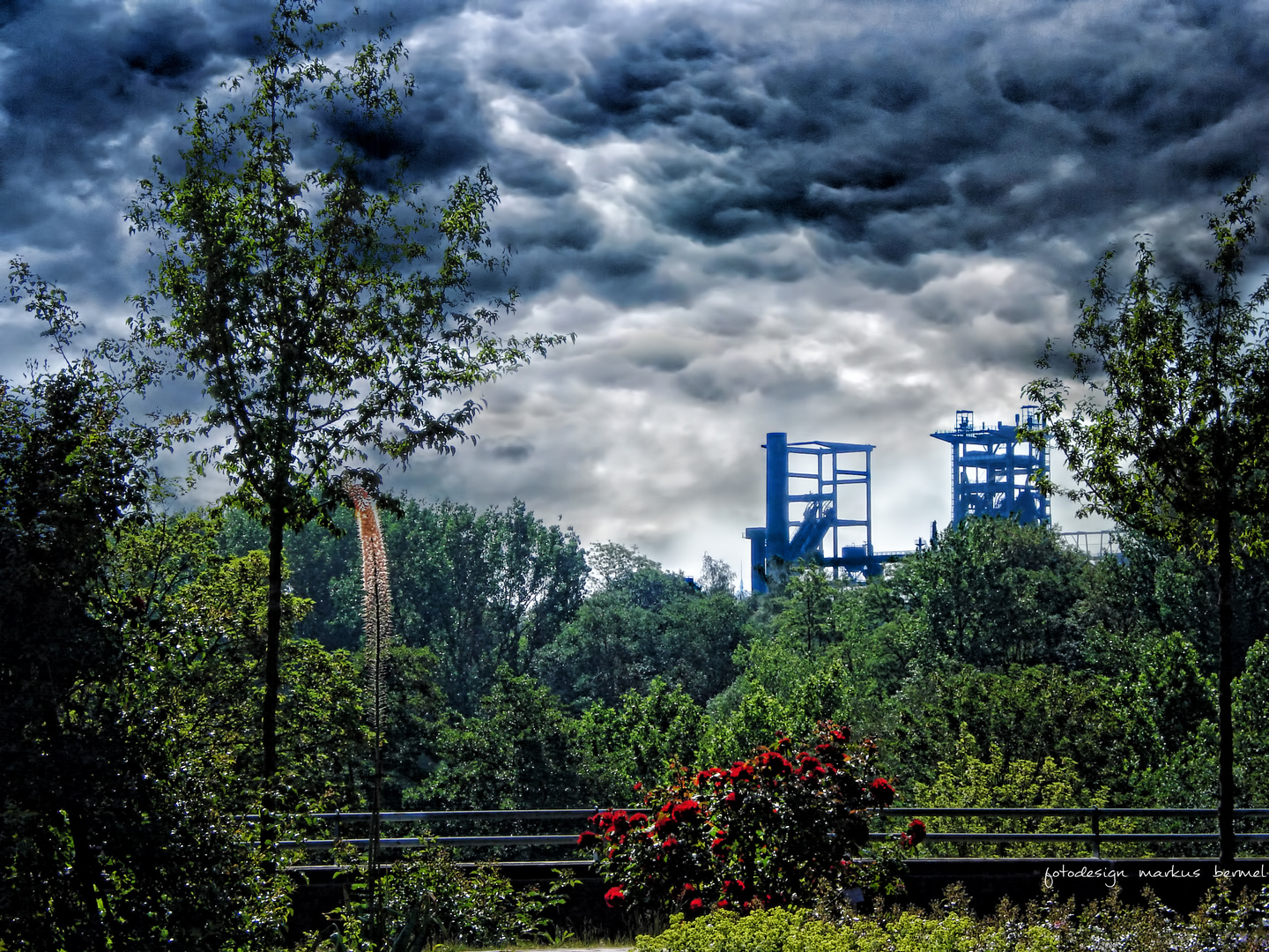 Das Rosarium in Dortmund